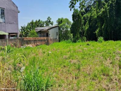 Terreno para Venda, em So Jos, bairro Ipiranga