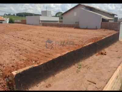 Terreno para Venda, em Bady Bassitt, bairro Jardim Tangar