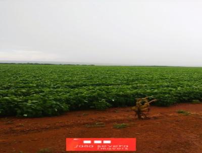 Fazenda para Venda, em Diamantino, bairro 