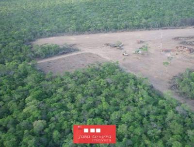 Fazenda para Venda, em Bom Jesus, bairro 