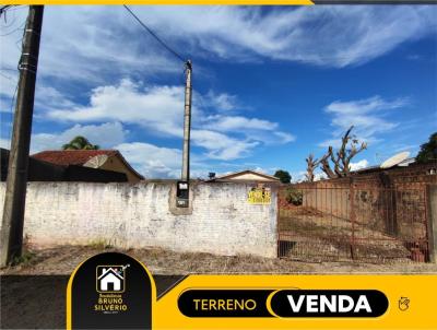 Terreno para Venda, em Jaru, bairro Setor 05