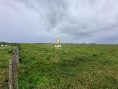 rea Rural para Venda, em , bairro Curral Alto