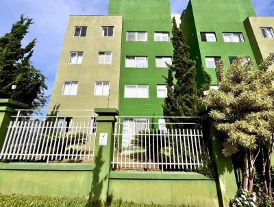 Apartamento para Venda, em Curitiba, bairro Pinheirinho, 3 dormitrios, 1 banheiro, 1 vaga
