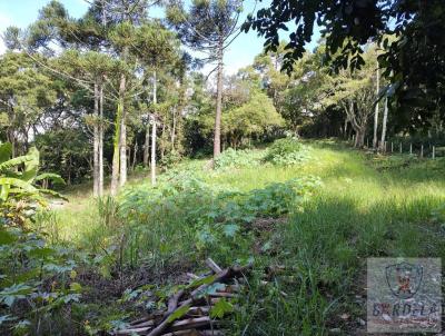 Terreno Rural para Venda, em Extrema, bairro SALTO