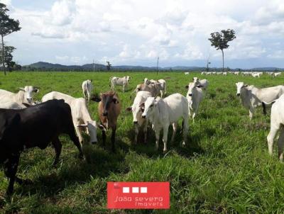 Fazenda para Venda, em Confresa, bairro 