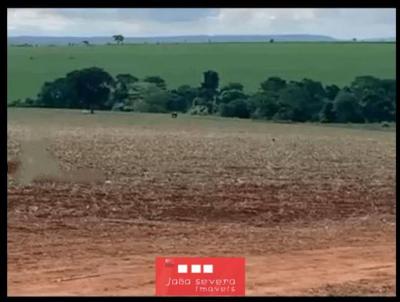 Fazenda para Venda, em Bela Vista de Gois, bairro 