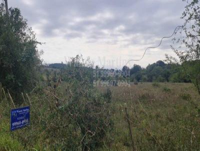 Terreno para Venda, em Viamo, bairro guas Claras