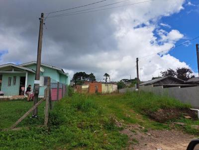 Terreno para Venda, em So Francisco de Paula, bairro Rinco