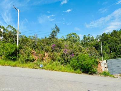 Terreno para Venda, em Jarinu, bairro Parque Afonso Pereira