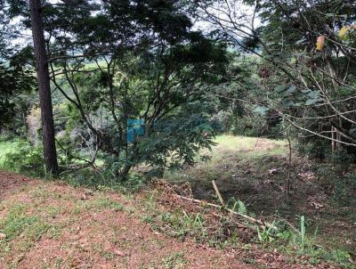 Terreno em Condomnio para Venda, em Santa Isabel, bairro Reserva Ibirapitanga