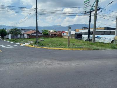 Terreno Comercial para Venda, em Sapiranga, bairro Centro
