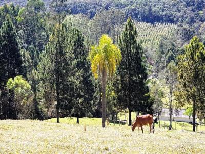 rea para Venda, em Ibina, bairro Sorocamirim