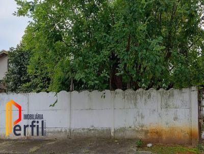 Terreno para Venda, em Pindamonhangaba, bairro Santa Cecilia