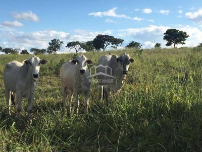 Fazenda para Venda, em Francisco Dumont, bairro ZONA RURAL