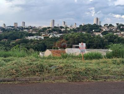 Terreno para Venda, em Apucarana, bairro Residencial Santo Expedito