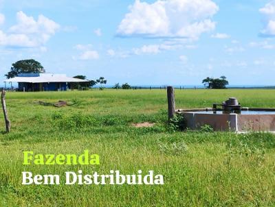 Fazenda para Venda, em Rondonpolis, bairro rea Rural de Rondonpolis