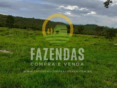 Fazenda para Venda, em Buriti Alegre, bairro Zona Rural