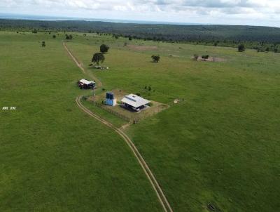 Fazenda para Venda, em Rondonpolis, bairro rural