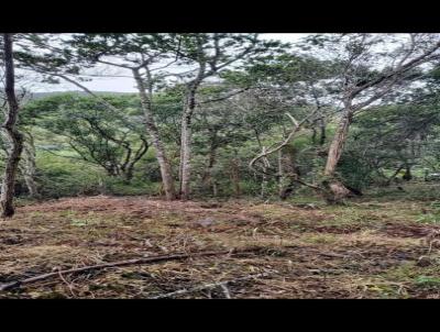 Terreno para Venda, em Florianpolis, bairro Vargem Grande