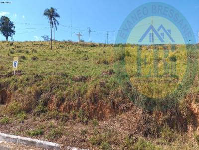 Terreno para Venda, em Machado, bairro Monte Cristo