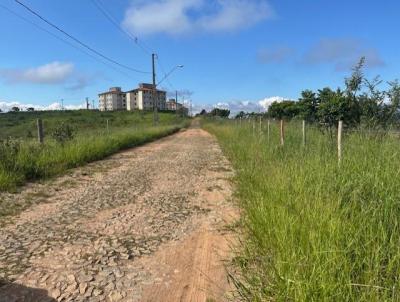 Terreno para Venda, em So Brs do Suau, bairro Copaba