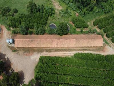 Chácara para Venda, em Fazenda Vilanova, bairro Nova Westfalia, 3 dormitórios, 2 banheiros, 1 vaga