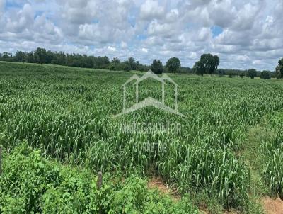 Fazenda para Venda, em Janaba, bairro ZONA RURAL