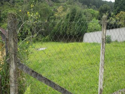 Terreno para Venda, em Ibina, bairro Ressaca