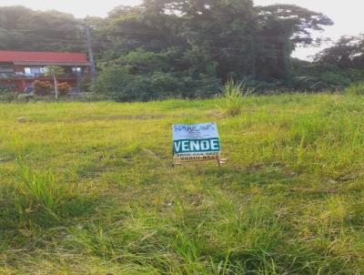 Terreno para Venda, em Matinhos, bairro Centro