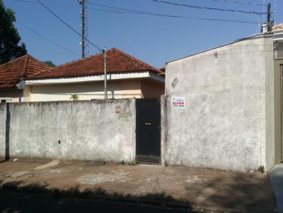 Edcula para Locao, em Presidente Prudente, bairro Jardim Aviao, 1 dormitrio, 1 banheiro