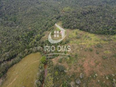 Fazenda para Venda, em Santo Antnio do Amparo, bairro rea Rural