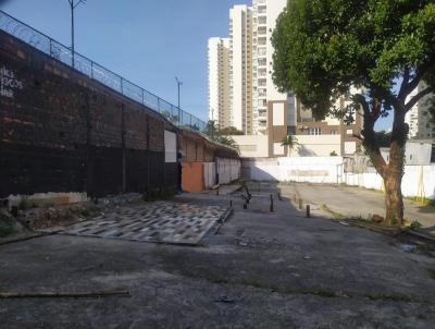 Terreno para Locao, em So Paulo, bairro LAUZANE PAULISTA