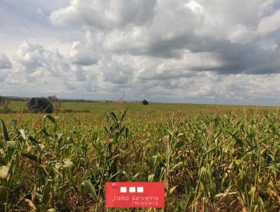 Fazenda para Venda, em Alto Parnaba, bairro 