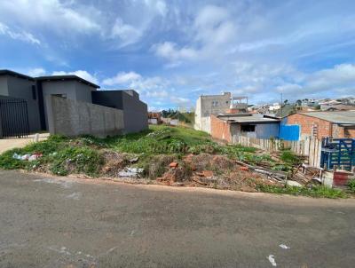 Terreno para Venda, em Telmaco Borba, bairro Jardim Monte Sinai ll