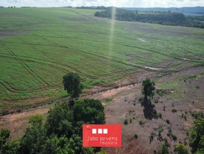 Fazenda para Venda, em Pedro Gomes, bairro 