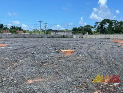 Galpo para Locao, em Camaari, bairro Nova Abrantes (Abrantes)