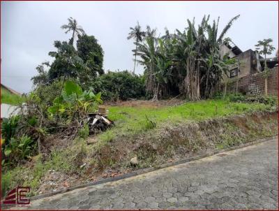 Terreno para Venda, em Jaragu do Sul, bairro Vila Lalau