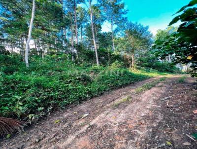 Terreno para Venda, em Trombudo Central, bairro Bracatinga