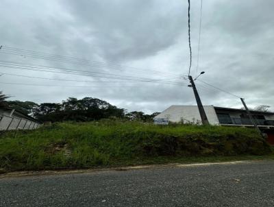 Terreno para Venda, em Unio da Vitria, bairro Muzzolon