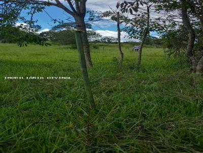 Terreno para Venda, em Inconfidentes, bairro SANTA IZABEL