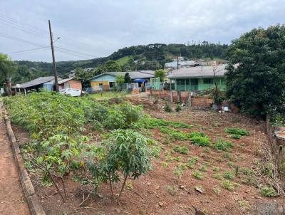 Terreno para Venda, em Ponte Serrada, bairro Aparecida