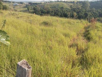 Terreno para Venda, em Trememb, bairro Centro