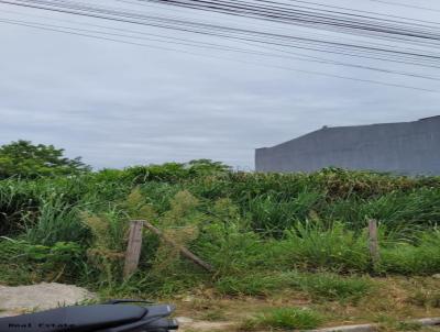 Terreno para Venda, em Florianpolis, bairro So Joo do Rio Vermelho