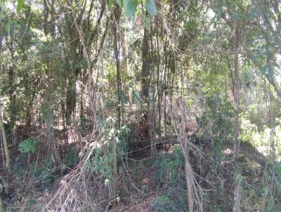 rea para Venda, em Caxias do Sul, bairro Cerro da Glria