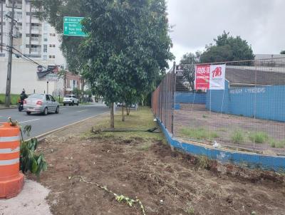 Terreno para Venda, em Curitiba, bairro Capo Raso