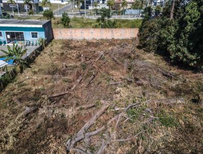 Terreno para Venda, em Florianpolis, bairro So Joo do Rio Vermelho