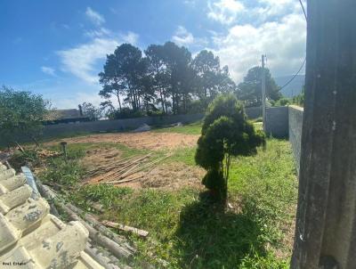 Terreno para Venda, em Florianpolis, bairro So Joo do Rio Vermelho