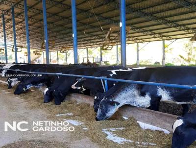 Fazenda para Venda, em Cachoeiras de Macacu, bairro 