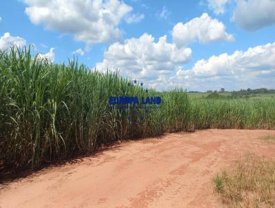 Fazenda para Venda, em So Jos do Rio Preto, bairro Centro