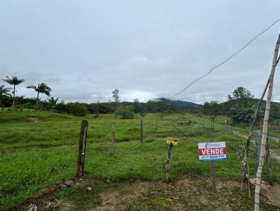 Chcara para Venda, em Schroeder, bairro Centro